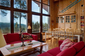 Sauna | Barbecue | Engine heater | Stove